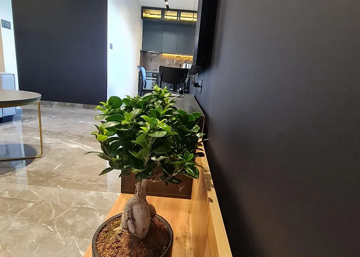 La Mirage & Apartament Tirana